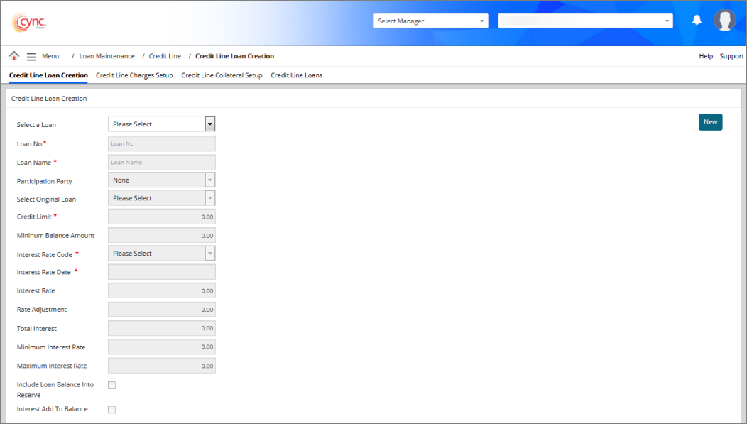 Credit Line Loan Creation page